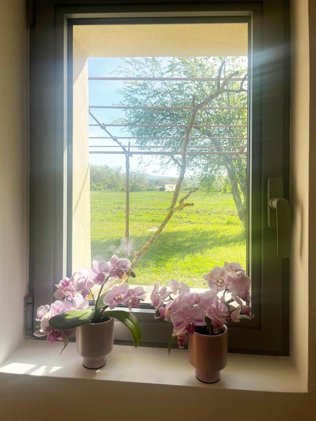הוילה Mane  Le Petit Cabanon Provencal מראה חיצוני תמונה